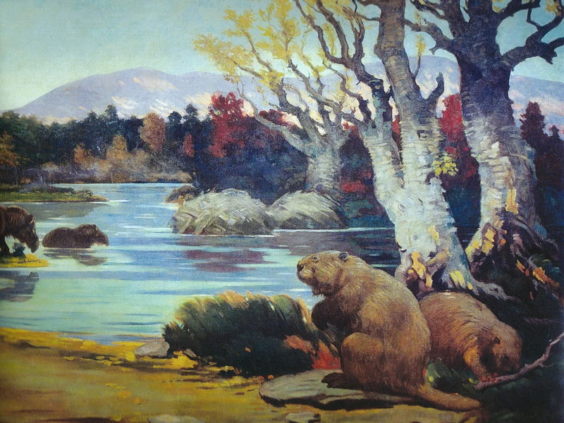 1874-Charles R. Knight - Castoroides nel New Jersey